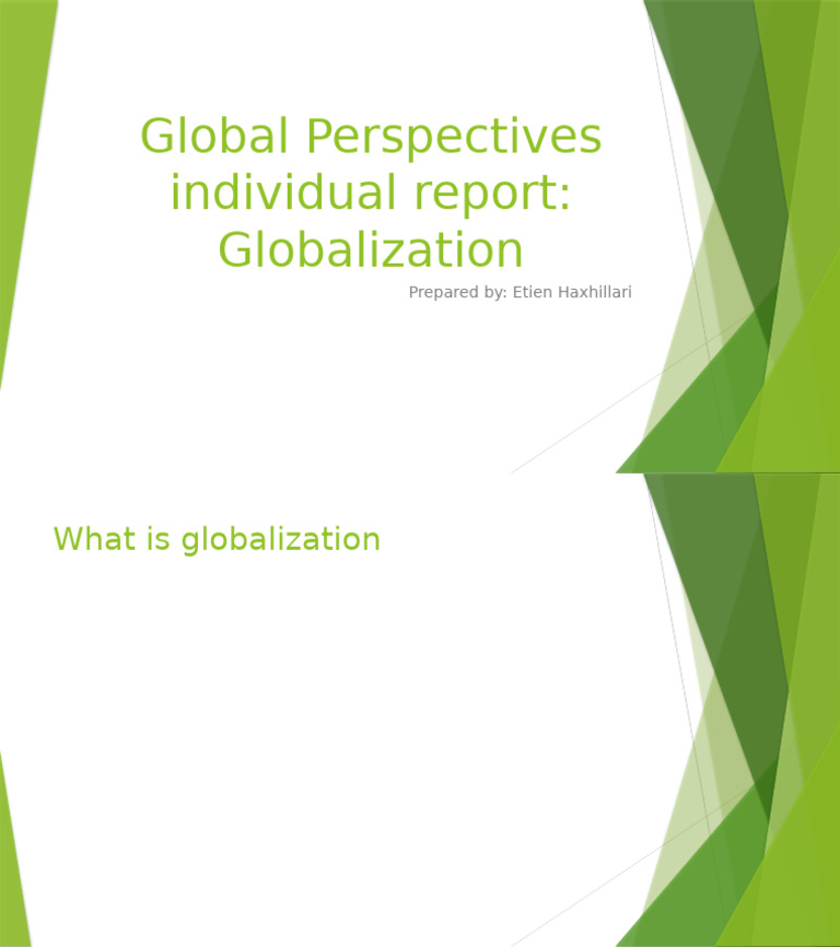 Global Perspectives Individual Report | PDF