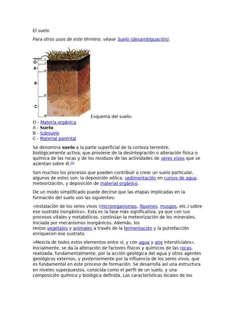 El Suelo Pdf Suelo Horticultura