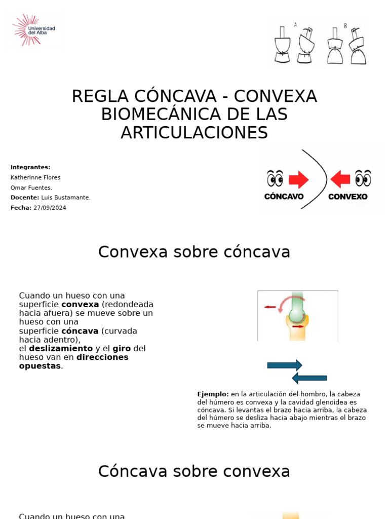 Biomecánica de Superficies Cóncavas y Convexas | PDF