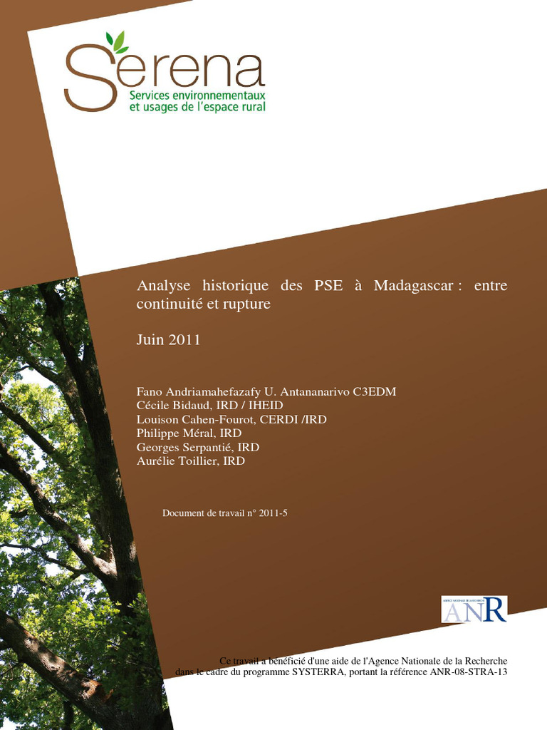 PSE à Madagascar : continuités et ruptures | PDF | Développement ...