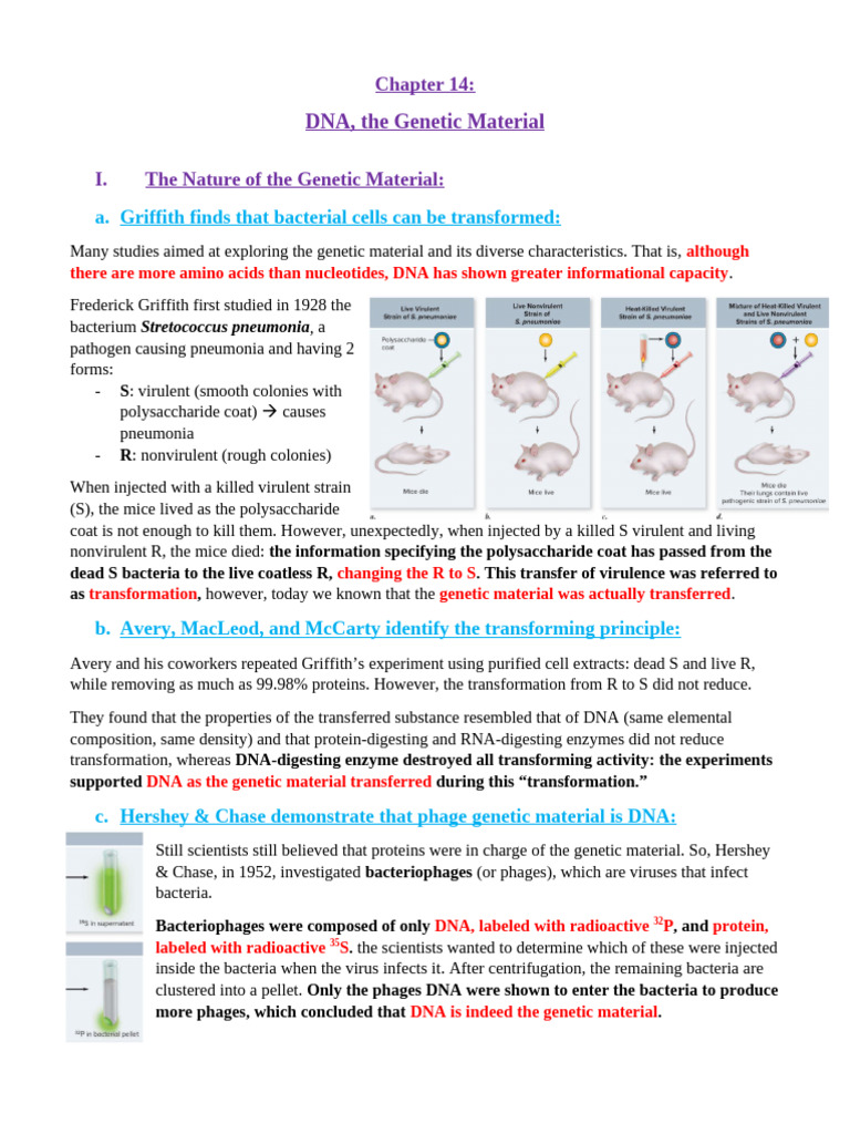 Hershey and Chase: DNA as Genetic Material | PDF | Dna Replication ...
