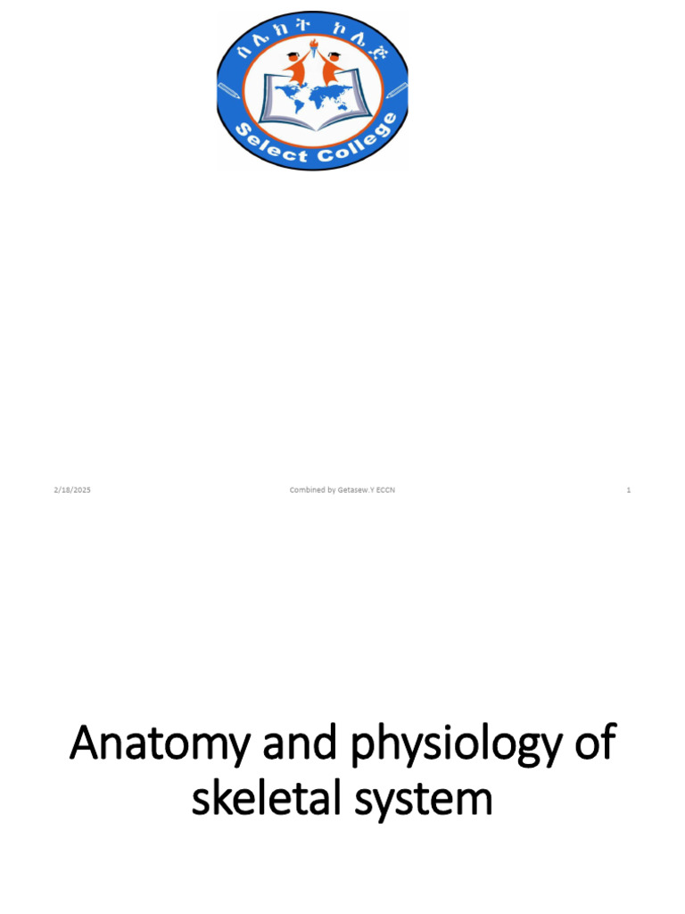 Skeletal System 2222222222222 | PDF | Vertebra | Vertebral Column