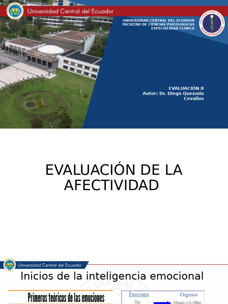 Evaluación de La Afectividad | PDF | Las emociones | Inteligencia emocional
