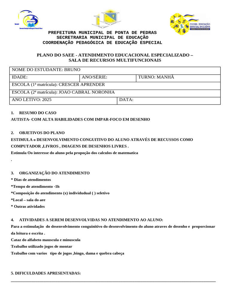 Cópia de PLANO DO SAEE | PDF | Educação Especial | Aprendizado