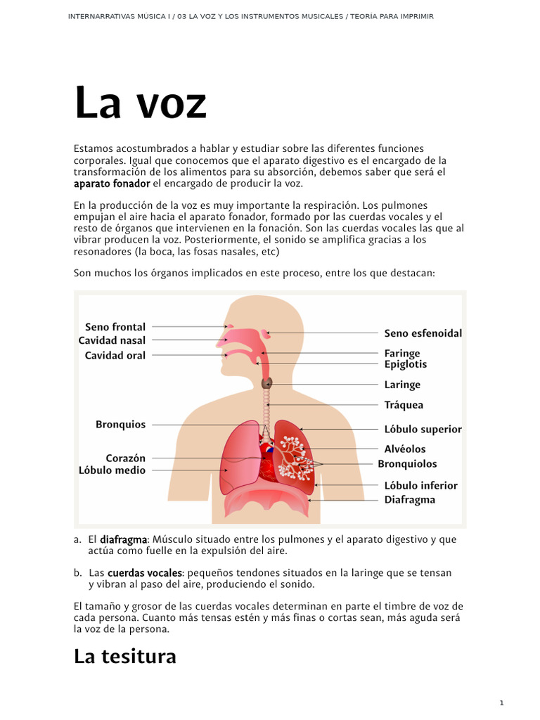 03 La Voz y Los Instrumentos Musicales - Teoría para Imprimir | PDF ...