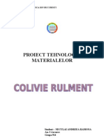 Proiect TM Colivie Rulment