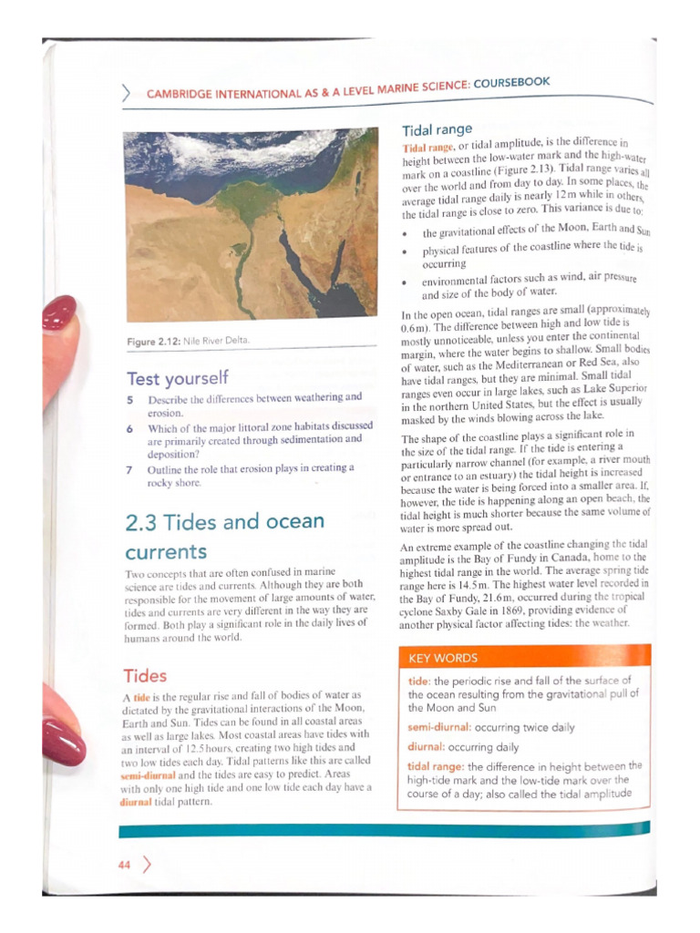 Chapter+2 3+Textbook+PDF | PDF