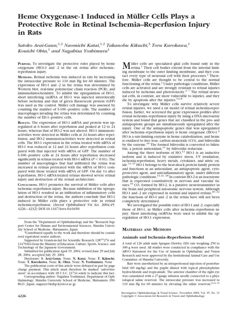 Heme Oxygenase-1 Induced in Müller Cells Plays A Protective Role in ...