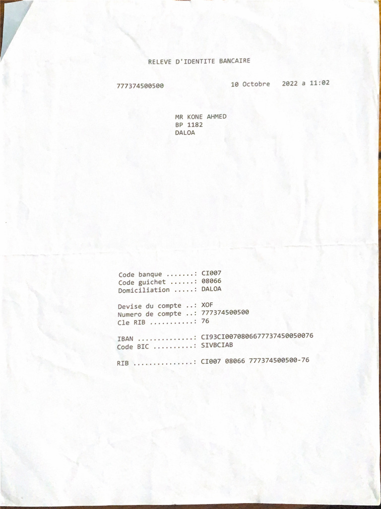 Rib | PDF