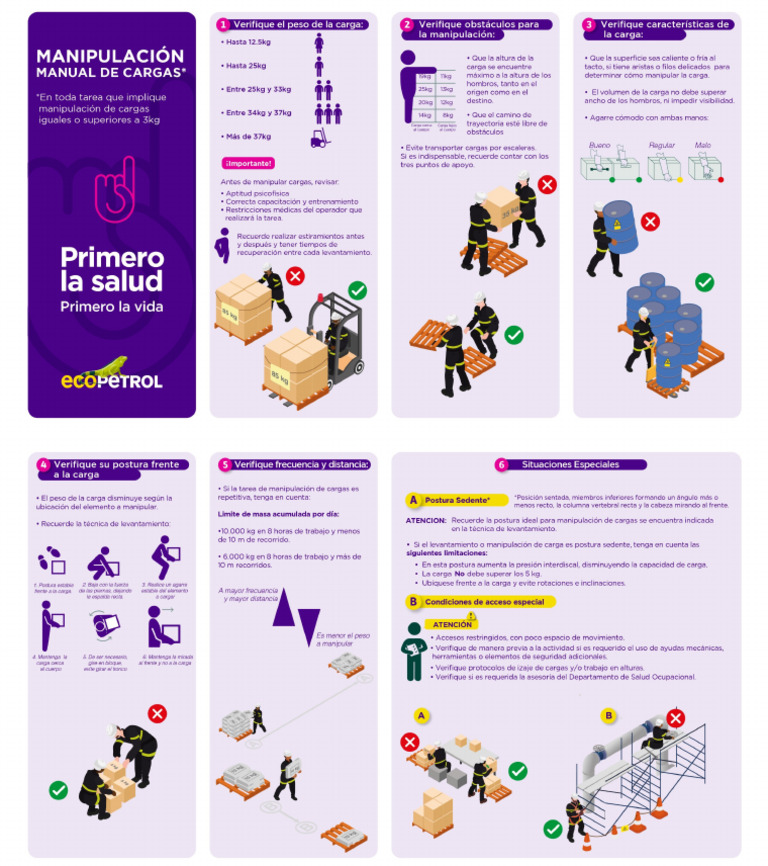 Manejo Manual de Cargas Operación | PDF