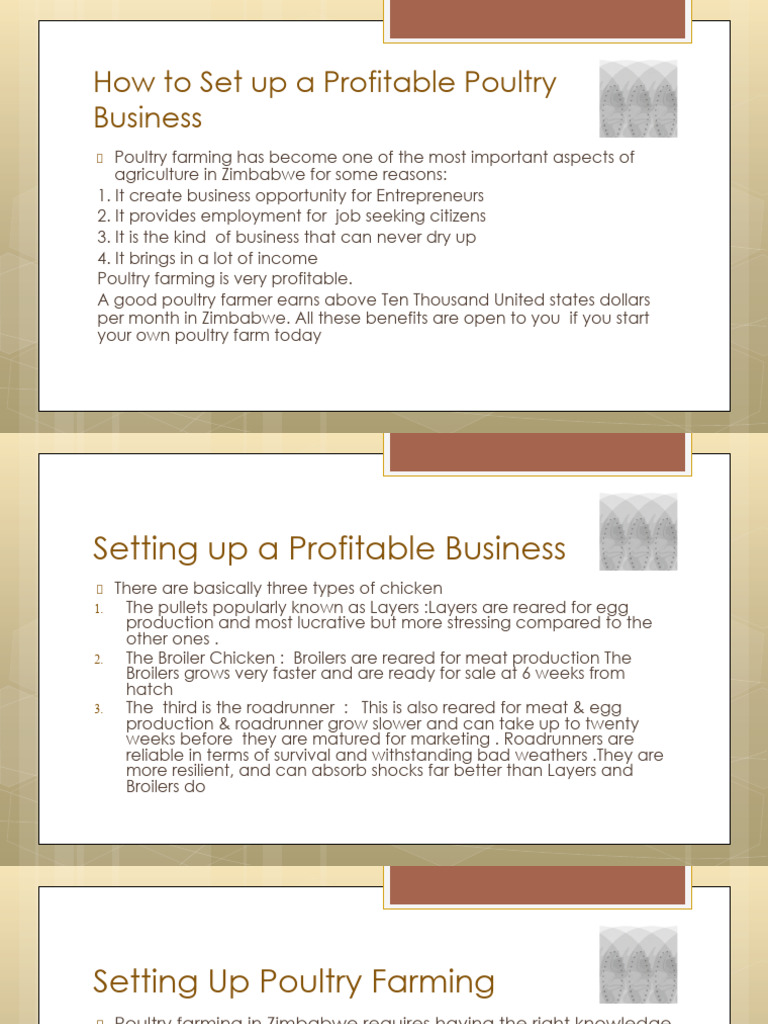 Profitable Poultry Farming in Zimbabwe | PDF | Chicken | Poultry Farming