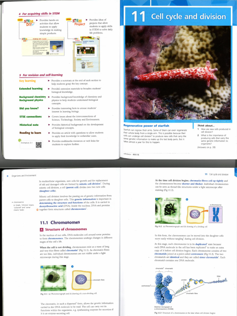 Chapter 11 Scanned Book Pdf