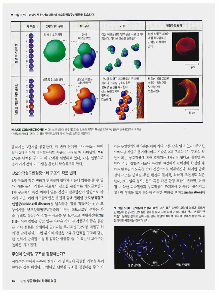 캠벨 생명과학 11판 1 | PDF