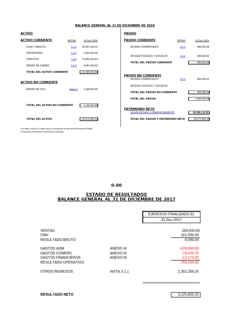Balance General 2024: Activo y Pasivo | PDF | Valor neto | Hoja de balance