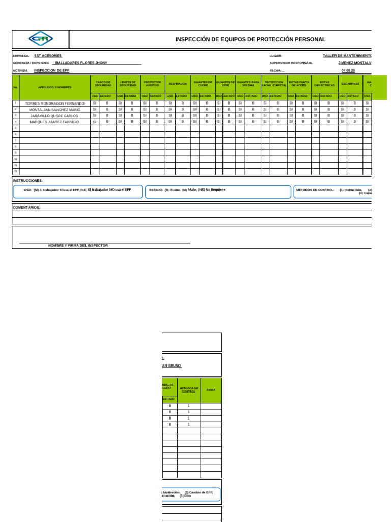Formato Inspeccion de EPP | PDF
