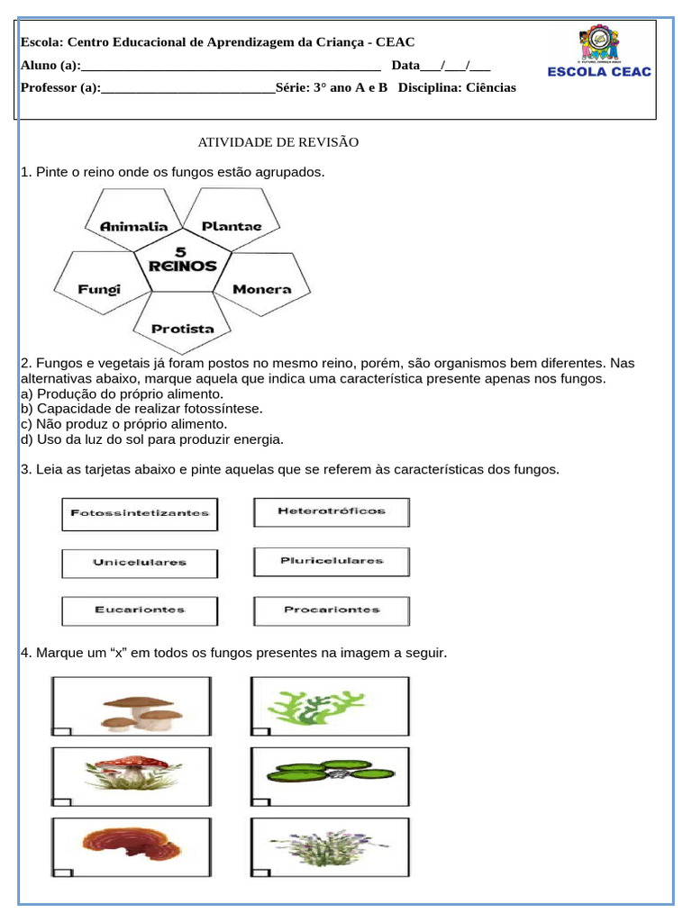 Atividades de Ciências sobre Fungos 3º Ano | PDF | Fungo | Alimentos