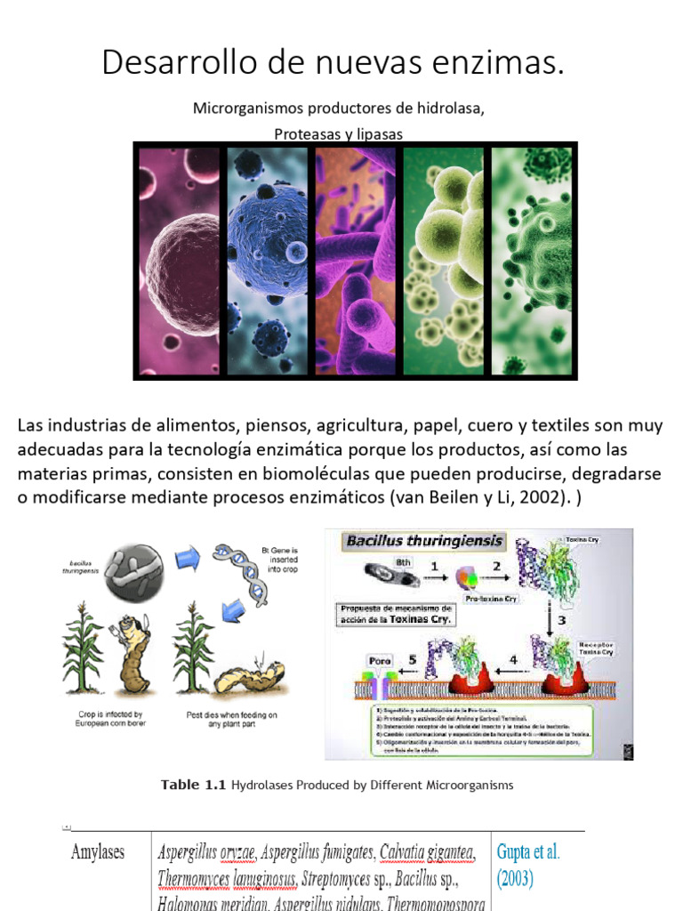 Producción de Enzimas Microbianas en Alimentos | PDF | Hidrólisis ...