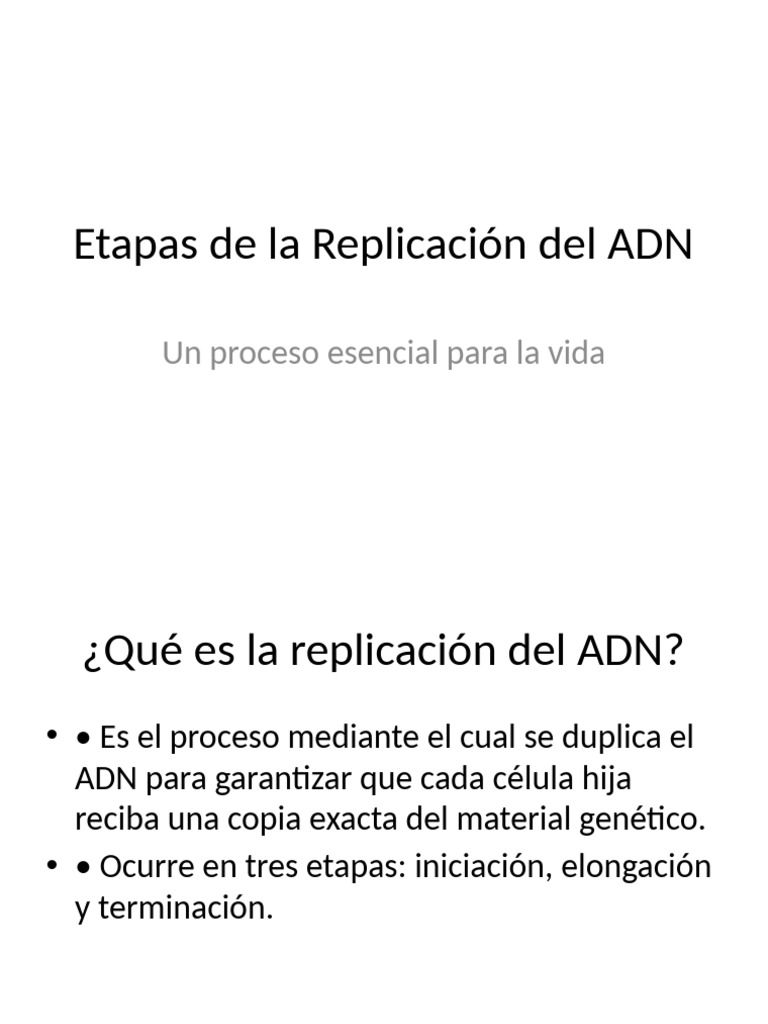 Etapas de la Replicación del ADN | PDF