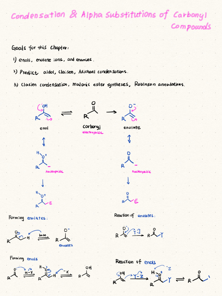 Chapter 22-Notes | PDF