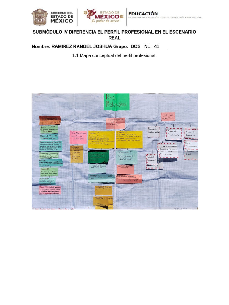 SMIV 1.1 Mapa Conceptual Del Perfil Profesional (Plantilla) | PDF