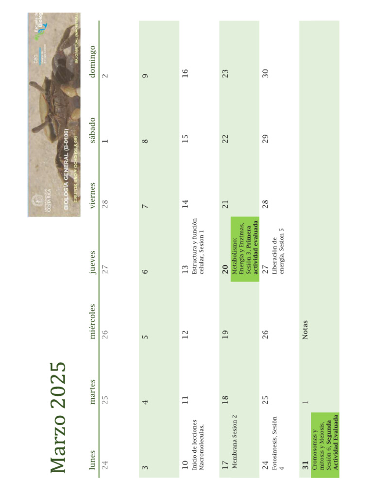Calendario II Semestre 2025 | PDF