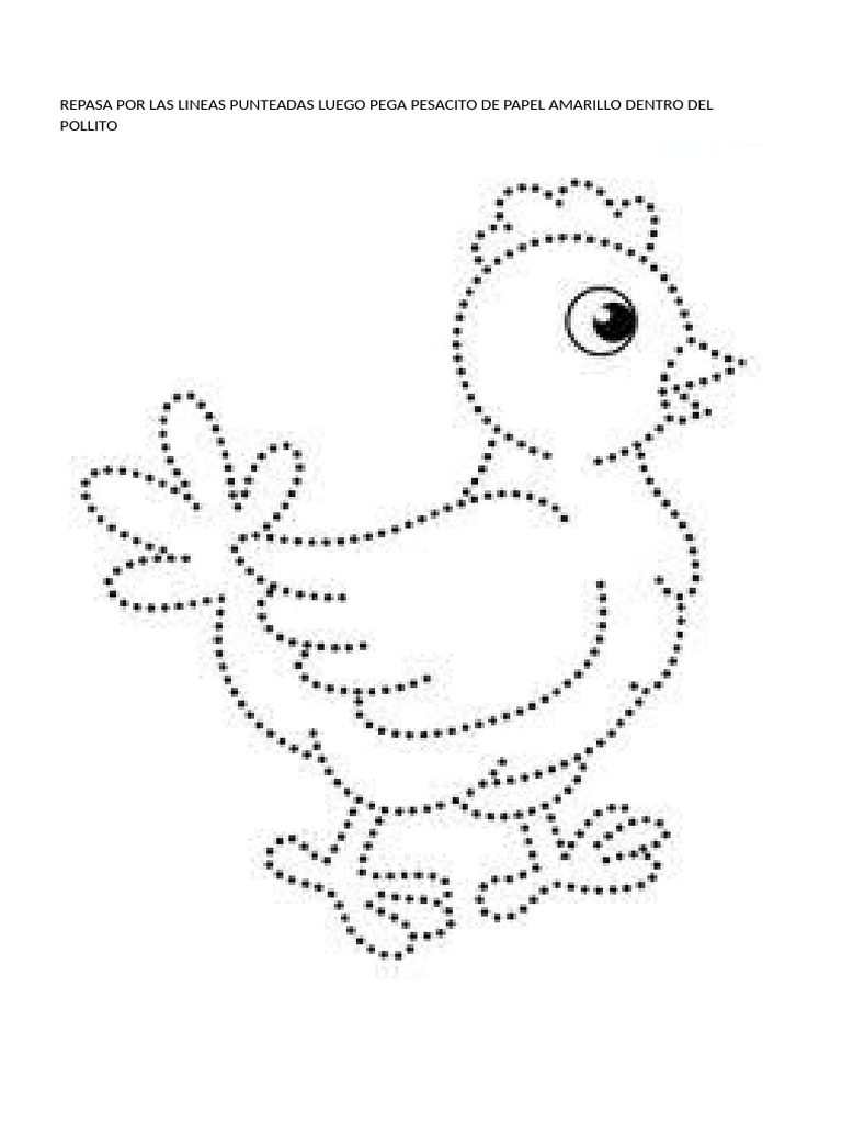 Imagen Pollito | PDF