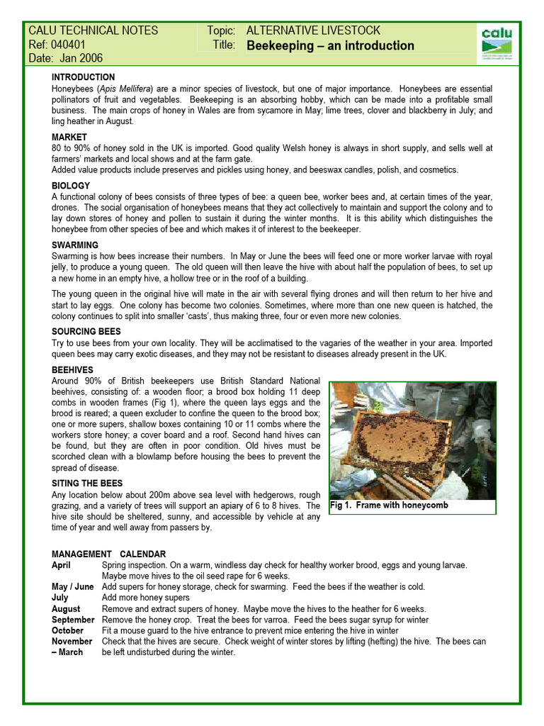 Introduction to Beekeeping Basics | PDF | Honey Bee | Beehive