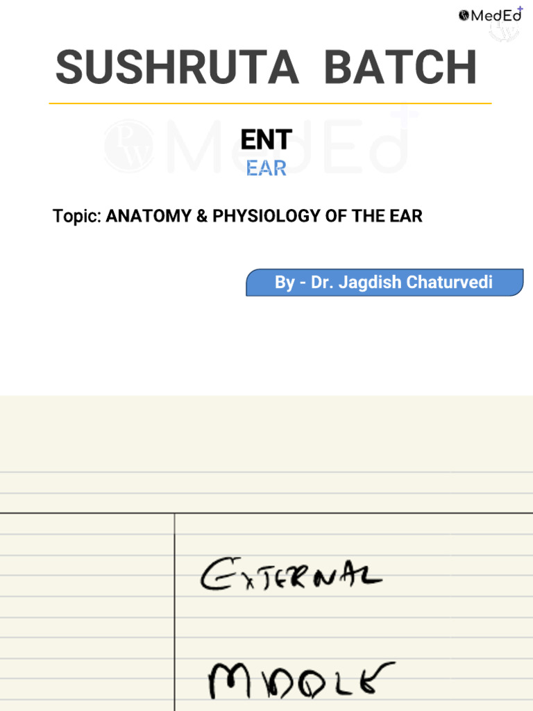 Bat Ear Anatomy Overview | PDF | Auditory System | Otorhinolaryngology