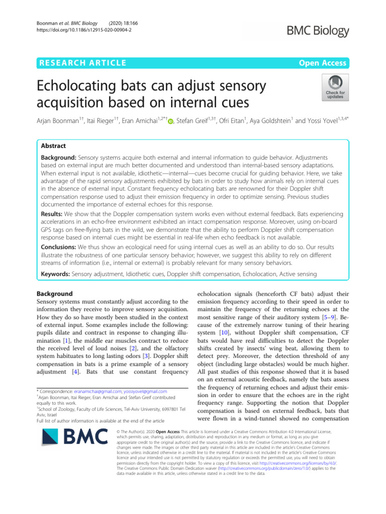 Bats Use Internal Cues for Echolocation | PDF
