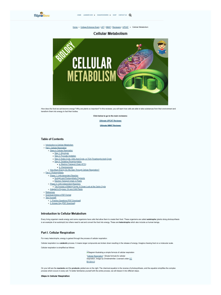 Filipiknow Net Cellular Metabolism | PDF | Cellular Respiration ...
