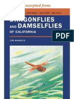 CNHG Dragonflies & Damselflies of California