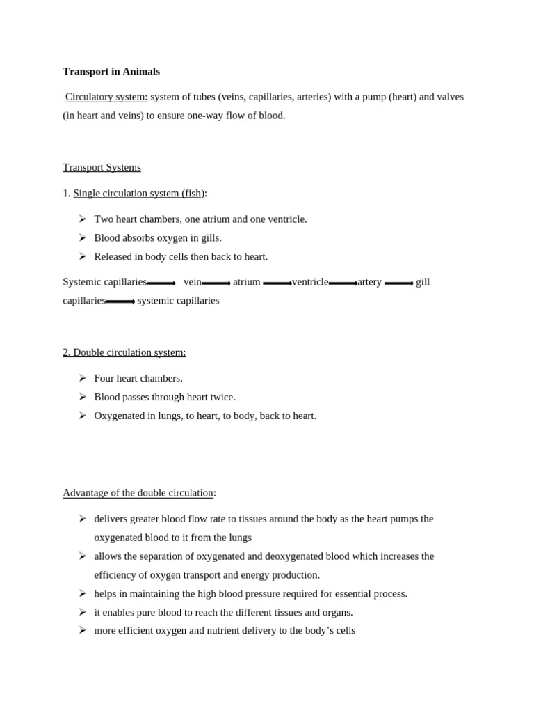 Topic 9 Transport in Animals | PDF | Heart Valve | Circulatory System