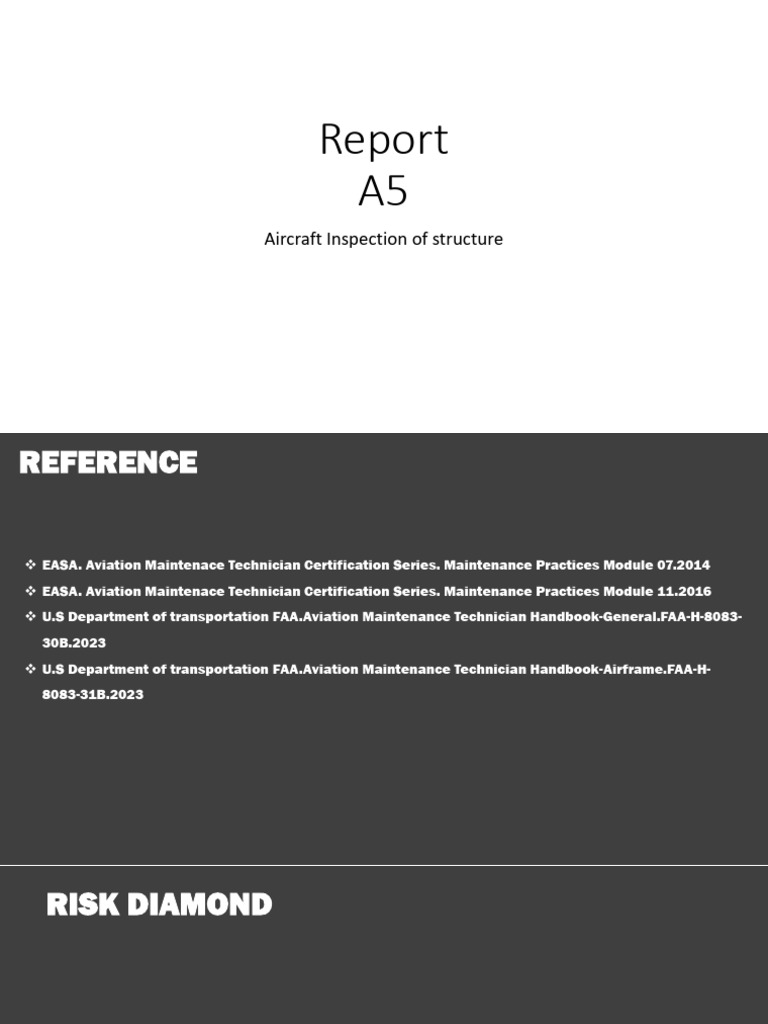 Report A5 Aircraft Inspectioon | PDF