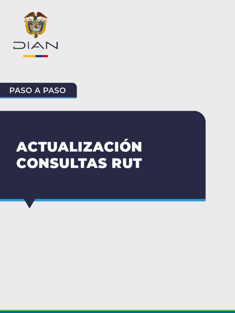 Paso A Paso Actualizacion Consultas RUT | PDF | Informática | Software