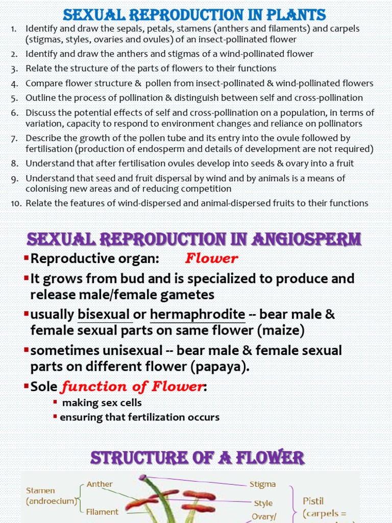Sexual Reproduction in Plants New | PDF | Flowers | Seed