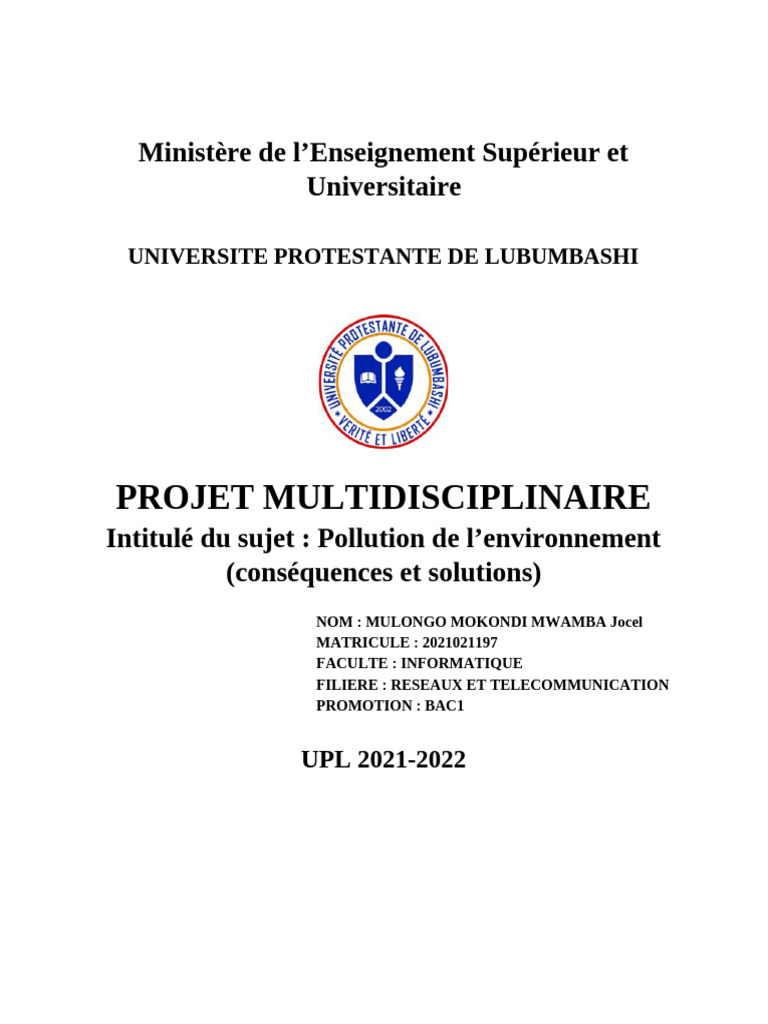 Pollution de l'environnement : causes et solutions | PDF | la pollution ...