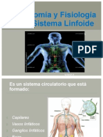 Anatomía y Fisiología Del Sistema Linfoide