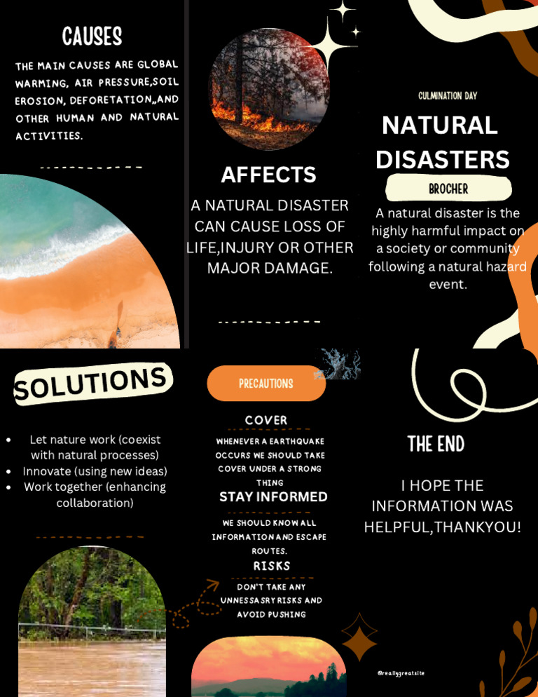 Natural Disaster Brochure | PDF