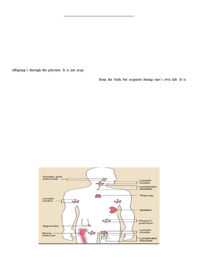 Human Body Defense Mechanisms Explained | PDF | Major ...