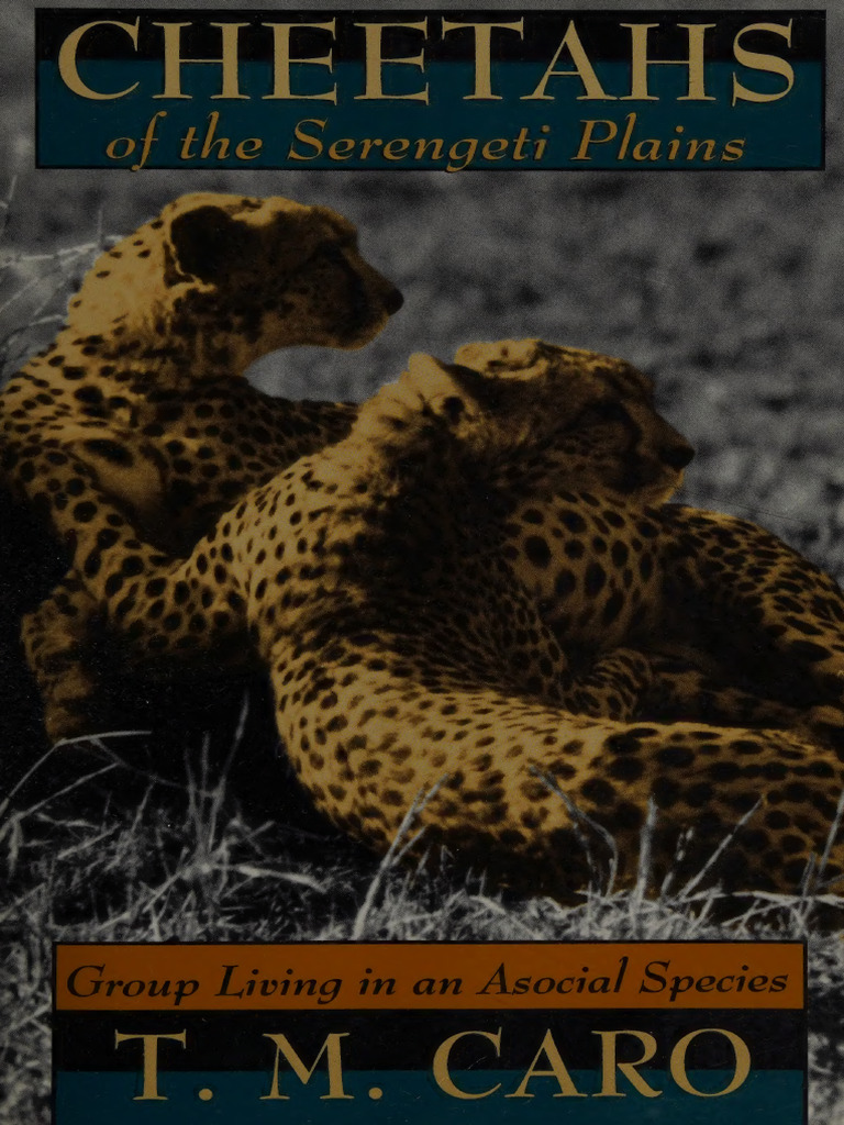 361° M's Training Basketball 28.0cm Cheetah Population Dynamics in Serengeti | PDF