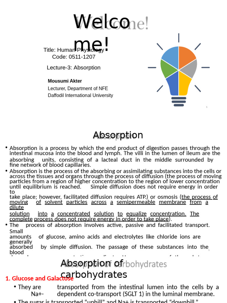 Lecture 2 Absorption | PDF | Small Intestine | Cell Membrane