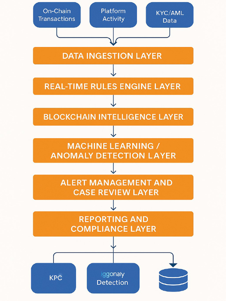AMl Transaction Monitoring Layout Program | PDF