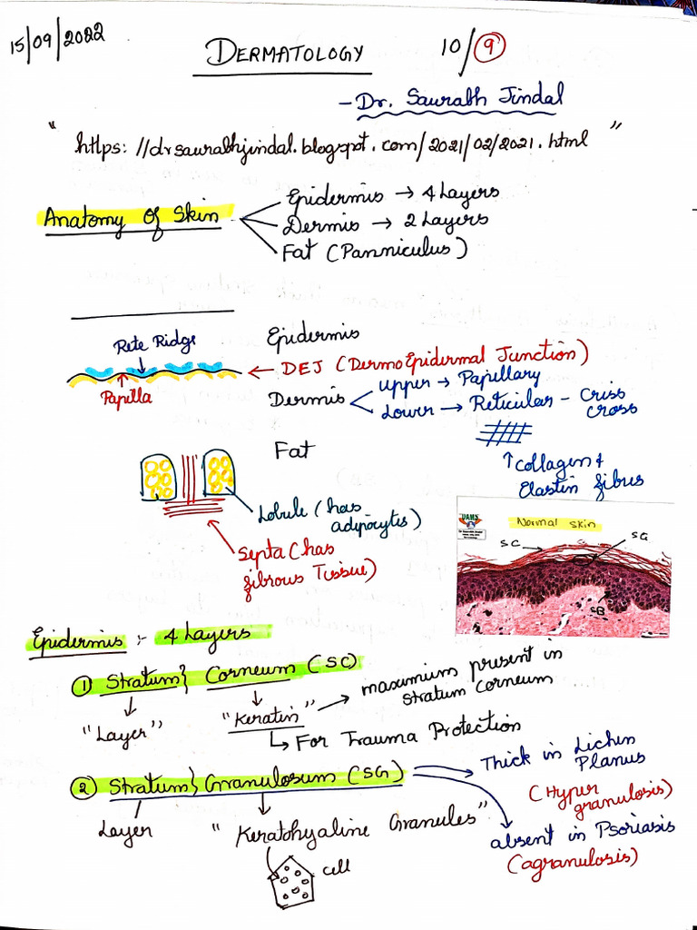 Derma Notes | PDF