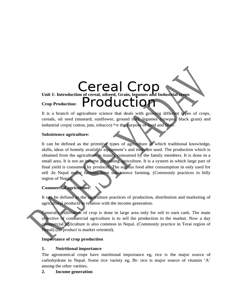 Overview of Cereal Crop Production | PDF | Rice | Cereals