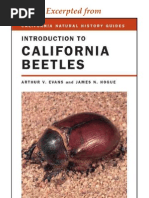 Download CNHG Introduction to California Beetles by University of California Press SN8611073 doc pdf