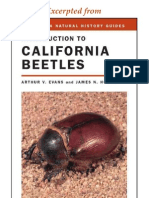 CNHG Introduction to California Beetles