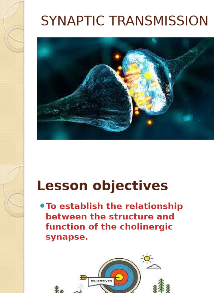 Synaptic Transmission | PDF | Chemical Synapse | Neurotransmitter