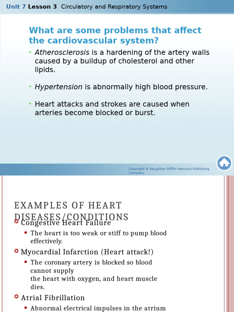 Cardiovascular Disease Overview and Prevention | PDF | Myocardial ...