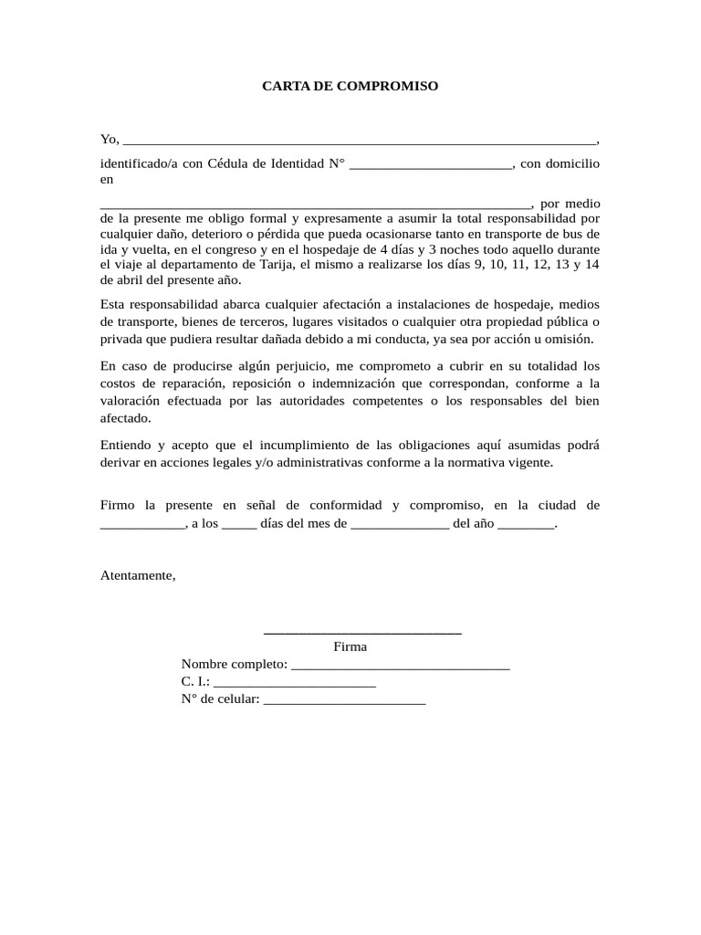 Carta de Compromiso de Responsabilidad | PDF