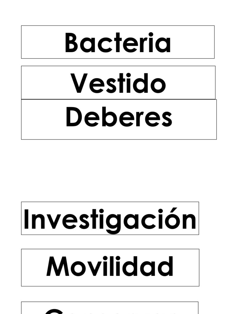 Flash Cards | PDF